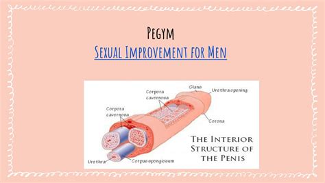 pegym forum|pegym (@pegym) .